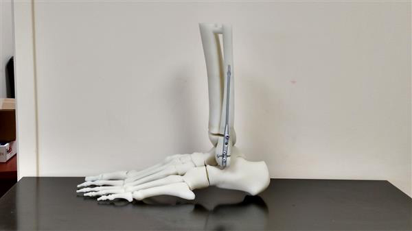 Sonoma快速發(fā)展：借3D打印技術(shù)助推