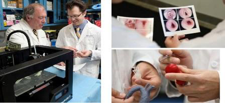 美科學(xué)家借助MakerBot3D打印機(jī)培養(yǎng)人工氣管