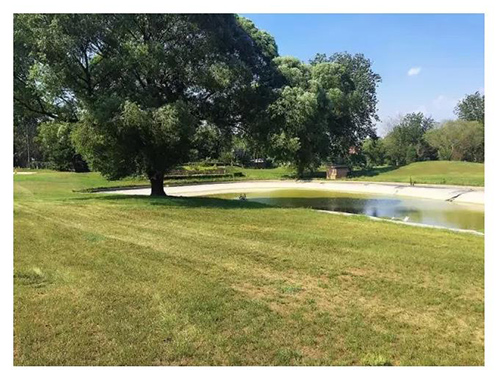 童程童美小伙伴們，快來一起：Running Code！