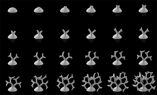 Nervous System模擬花朵生長形狀的3D打印珠寶首飾