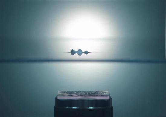 科學(xué)家借助3D打印制造出復(fù)雜的聲音全息圖