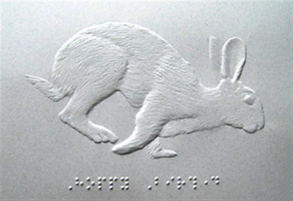 3D打印識(shí)字工具幫助視障孩子學(xué)習(xí)韓文字母