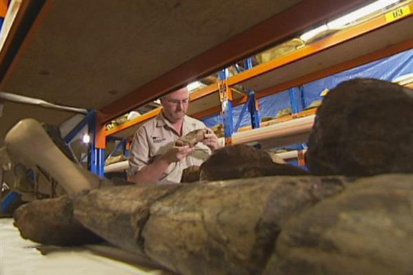 澳洲昆士蘭計劃3D打印巨型雷龍吸引觀光客