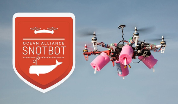 研究人員借3D打印無(wú)人機(jī)研究制定鯨魚(yú)保護(hù)策略