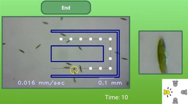 供孩子使用的3D打印智能手機(jī)顯微鏡