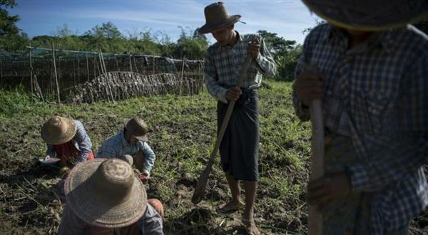 緬甸3D打印企業(yè)幫助當(dāng)?shù)剞r(nóng)民獲得3D打印工具