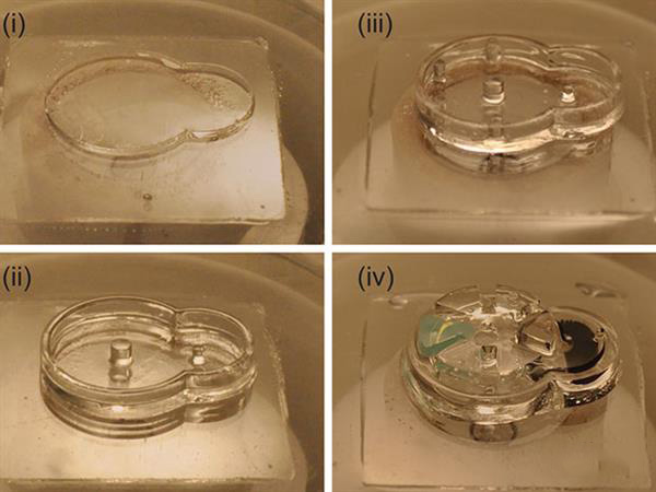 3D打印植入物biobots可以在體內(nèi)分配藥物劑量