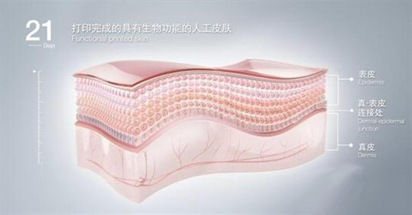 中國Jala公司開發(fā)3D打印皮膚測試亞洲市場化妝品