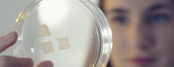 中國Jala公司開發(fā)3D打印皮膚測試亞洲市場化妝品