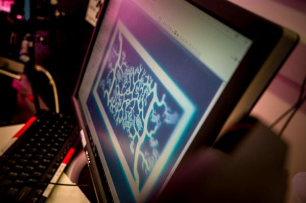 UCSD研究人員自制快速UV生物3D打印機(jī)造血管網(wǎng)絡(luò)