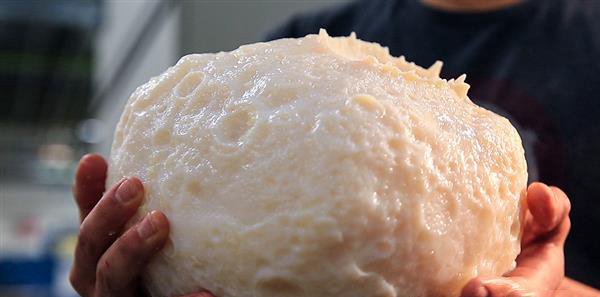 美國(guó)大學(xué)3D打印Psyche小行星模型，為NASA任務(wù)做準(zhǔn)備