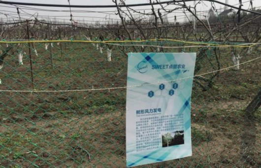 全國首個采摘機器人落戶金山點甜機器人智慧農(nóng)場