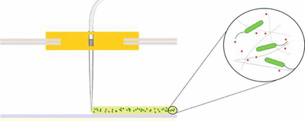 荷蘭大學(xué)研究員用3D打印細(xì)菌制作類石墨烯材料