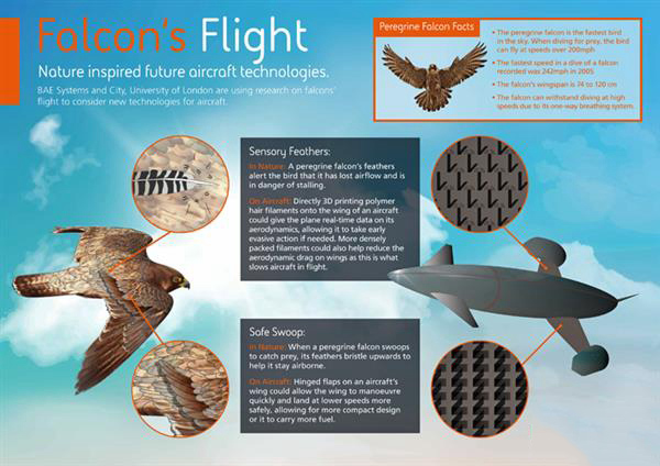 BAE系統(tǒng)用受游隼啟發(fā)的3D打印羽毛改進飛機機械性能