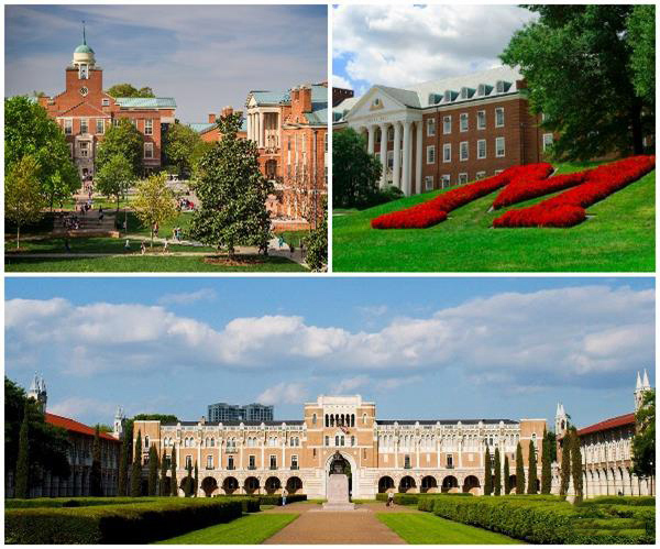 美國(guó)國(guó)立衛(wèi)生研究院資助CECT中心625萬(wàn)美元研究3D生物打印