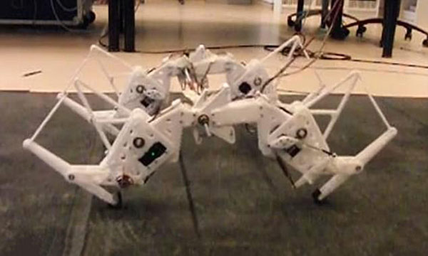 荷蘭研究人員研發(fā)出四腿機器人 靈感來自印度豹