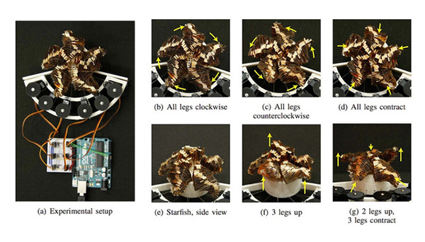 科學(xué)家發(fā)明可在熱水中自動折疊的軟體機(jī)器人