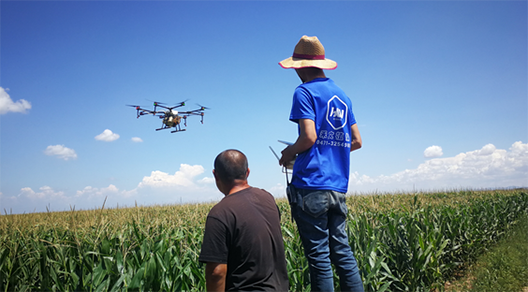內(nèi)蒙古自治區(qū)呼和浩特土默特左旗突發(fā)紅蜘蛛蟲害，當?shù)亓帜翗I(yè)局7月31日的統(tǒng)計數(shù)據(jù)顯示：120萬畝玉米中有76萬畝受災。估計將會造成10-70%的減產(chǎn)。當?shù)剞r(nóng)民對此也曾非常悲觀，玉米的間隙已經(jīng)很小、人工與地面植保機械已經(jīng)無法作業(yè)，他們認為能有50%的收成就不錯了。但植保無人機的到來讓情況變得樂觀，一架無人機一天可以防治300畝面積，現(xiàn)在有50架無人機在作業(yè)。預計可以保住70-80%的產(chǎn)量。8月9日，環(huán)球網(wǎng)無人機記者跟隨大疆MG-1S農(nóng)業(yè)無人機現(xiàn)場感受作業(yè)場景。  現(xiàn)場：大疆農(nóng)業(yè)無人機MG-1S農(nóng)藥噴灑