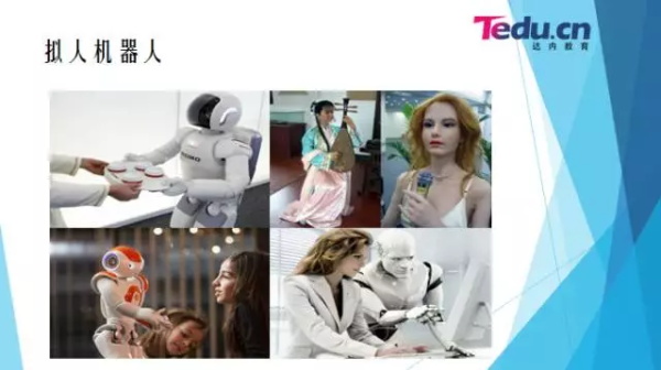 擬人機(jī)器人