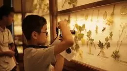 解決“游學焦慮癥”，只需這一招