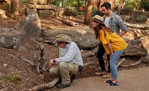 在青春好時光，來一場研學(xué)旅行吧！——2019澳洲研學(xué)營報名模式已開啟