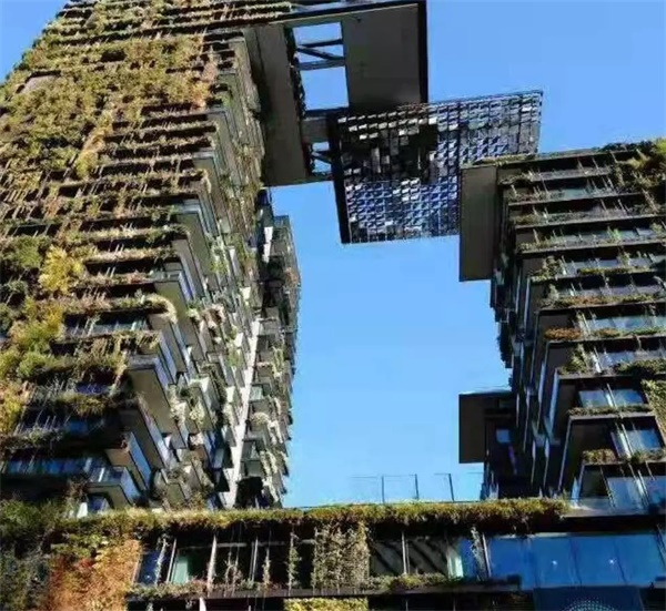 在青春好時光，來一場研學(xué)旅行吧！——2019澳洲研學(xué)營報名模式已開啟