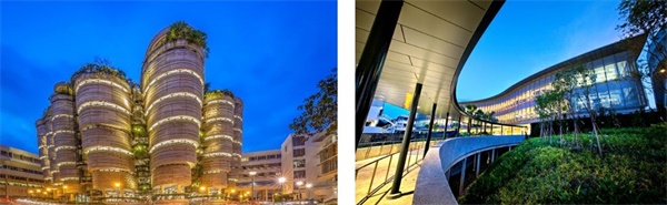 在新加坡南洋理工學(xué)習(xí)雙語編程，給孩子一個(gè)不一樣的寒假！ 