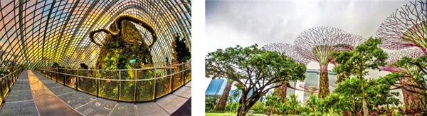 在新加坡南洋理工學(xué)習(xí)雙語編程，給孩子一個(gè)不一樣的寒假！ 