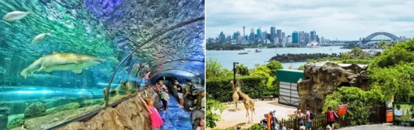 來(lái)大洋彼岸，做小小發(fā)明家 —2019澳洲機(jī)器人創(chuàng)新科技親子營(yíng)報(bào)名在即