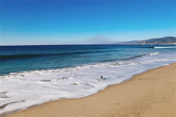 在世界頂級(jí)名校斯坦福大學(xué)學(xué)編程，讓孩子走在國(guó)際教育的前沿