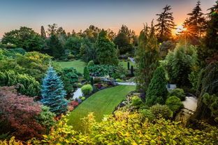 2019暑假加拿大多倫多大學(xué)編程研學(xué)營，在世界名校學(xué)習(xí)專屬前沿編程課程！ 