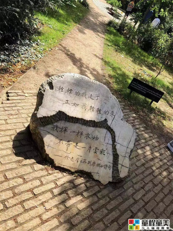 2019童程童美國際編程研學營圓滿收官，500名學員點亮名校夢！