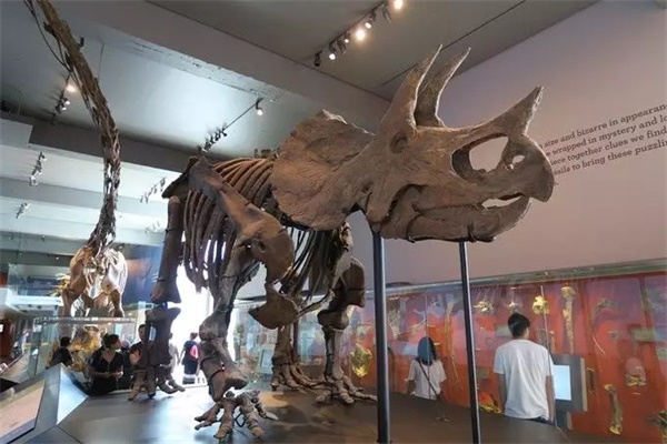 2020年寒假童程童美·美國(guó)圣地亞哥中小學(xué)插班研學(xué)營(yíng)報(bào)名開(kāi)啟