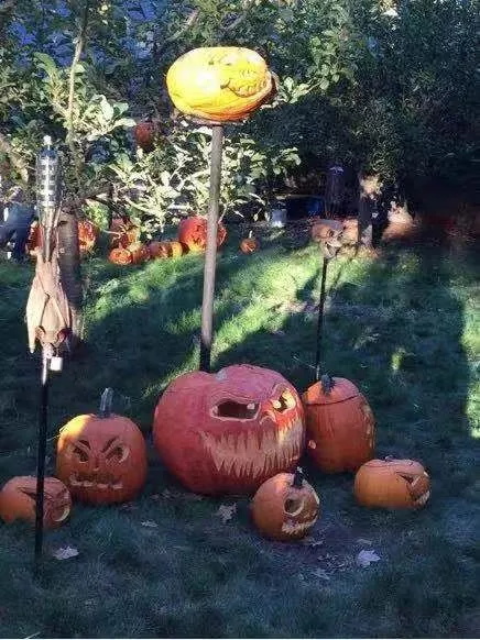 萬圣節(jié)，去喬布斯家要糖是怎樣一種體驗？